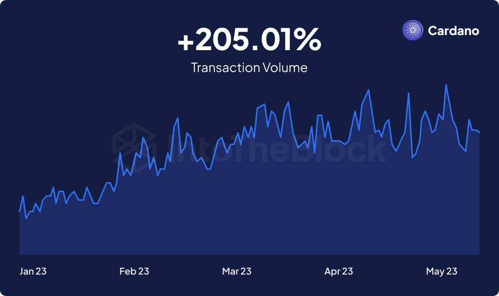 Cardano Transactions Surge: 71 Million Recorded | Latest Insights