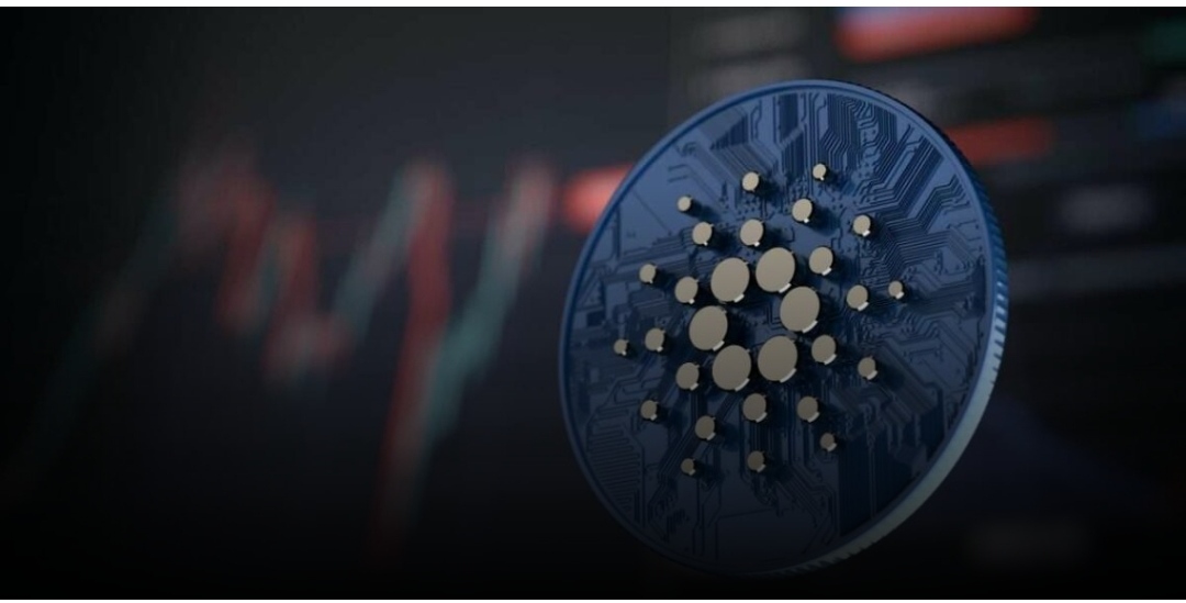 Cardano Adds 50,000 New Wallets As ADA Market Cap Surges