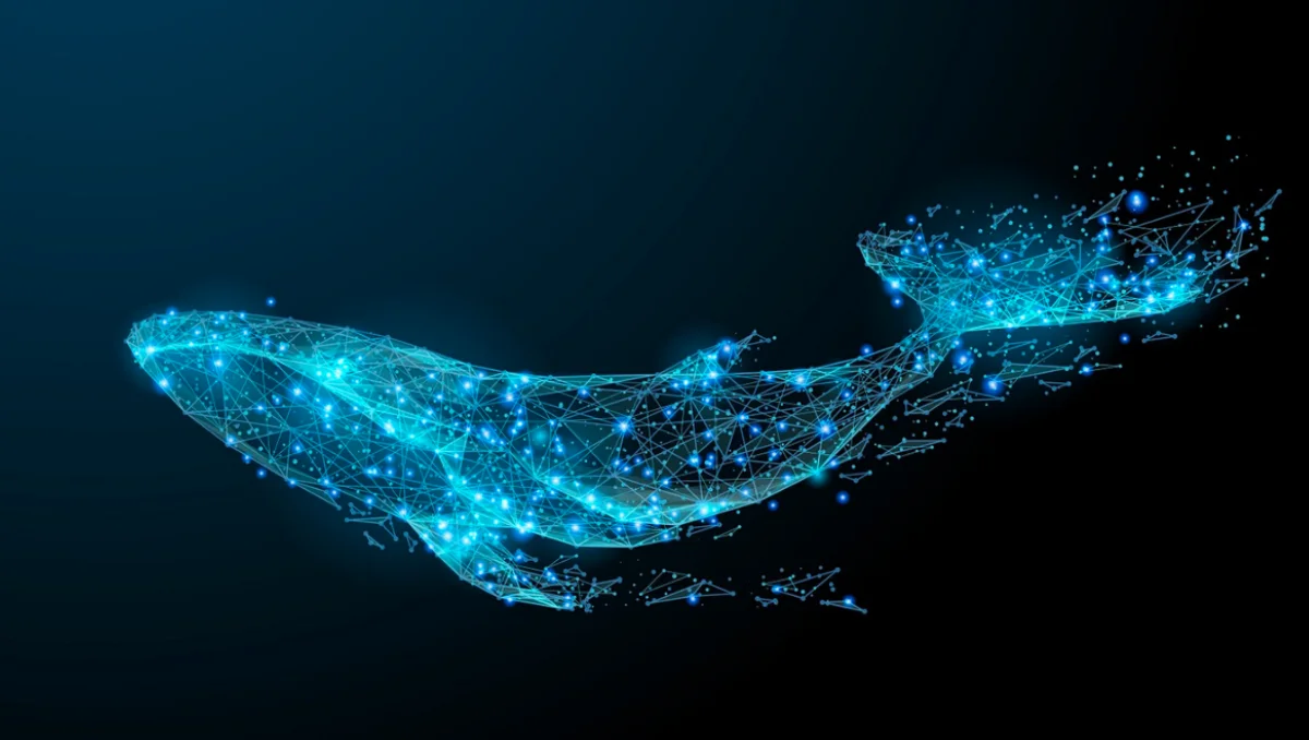 Big Crypto Moves: Whales Transfer $800M in BTC, ETH, XRP, and MATIC